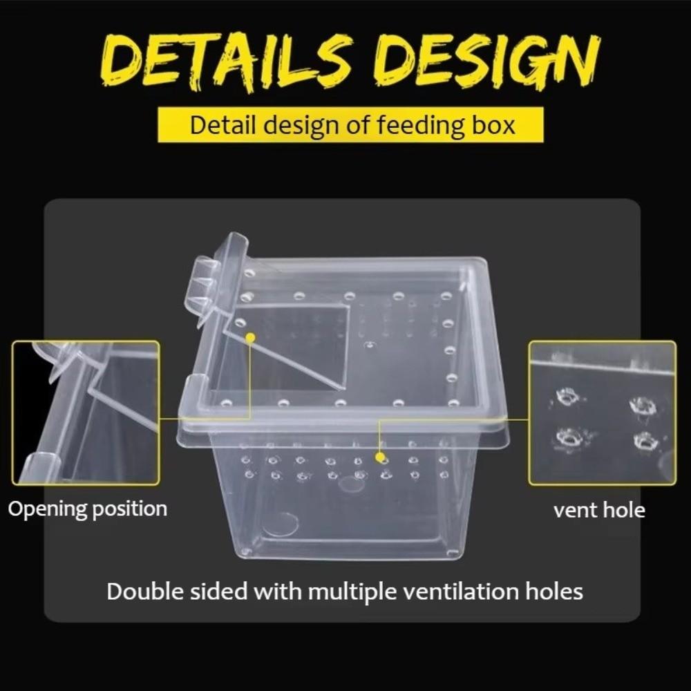 Clear Plastic Reptile Living Box Food Feeding Anti-Escape Lizard Breeding Box Arboreal Ventilated Reptile Terrarium