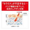 Curel lotion III (very moist) refill 130ml