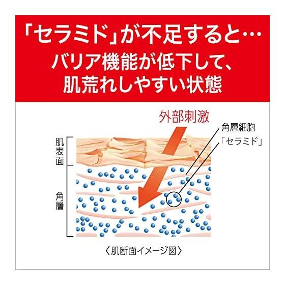 Curel lotion II (moist) refill 130ml