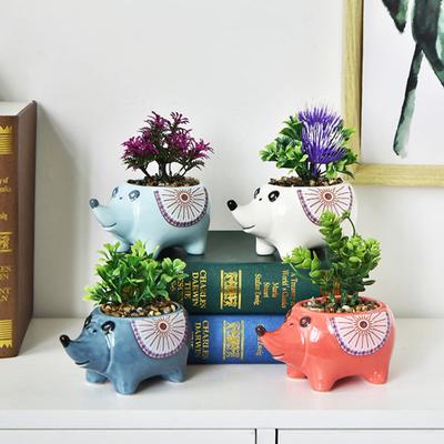 Cute Hedgehog Succulent Pot Ceramic Flower Pot Planter Home Decor Indoor Decoration Desktop Ornaments Bonsai Plant Pot