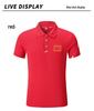 Chinese Team Sports Quick-Dry Polo Shirt for Coaches & Referees - Swimming, Fencing, Badminton, Table Tennis