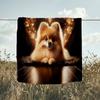 1PC Custom Name Heart Pomeranian outdooor Flannel blankets Throw Blanket All-Season Throw Gift Bedspread for Couch, Bed, Camping Holiday Birthda