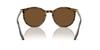 Sunglasses RB2204F HAVANA ON TRANSPARENT 54 Ray-Ban