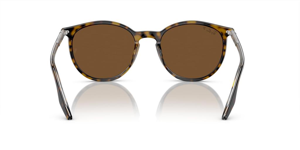 Sunglasses RB2204F HAVANA ON TRANSPARENT 54 Ray-Ban