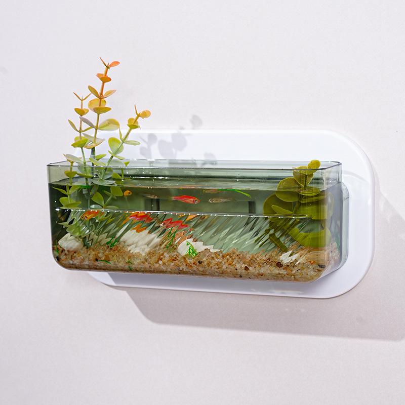 Transparent Wall-Mounted Plant & Fish Tank for Office/Living Room Décor