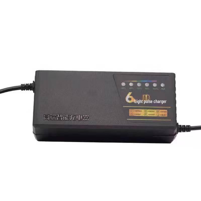 Smart 48V Electric Tricycle Battery Charger