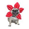 Yousheng Cappello Spaventoso a Forma di Fiore per Cani Fascia Regolabile a Fiore Gatti Cani Cappello a Fiore con Bordo Frastagliato per Cosplay Accessori per Travestimenti Oggetti di Scena per Servizi Fotografici