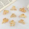 Small Metal Shark Hair Clip for Girls - Korean Internet Celebrity Style Claw Clip Hair Accessory