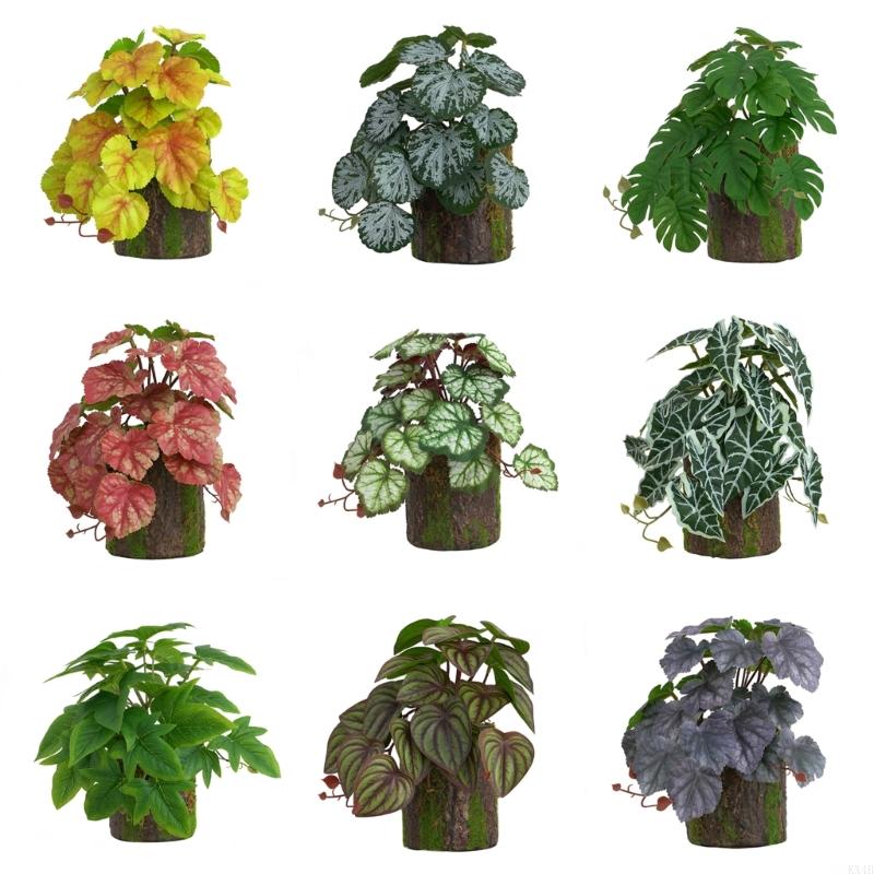 KX4B Dekoracja Akwarium Roślina Terrarium Rośliny Dekoracyjne do Zbiornika Rybnego dla Siedliska Płazów Jaszczurek