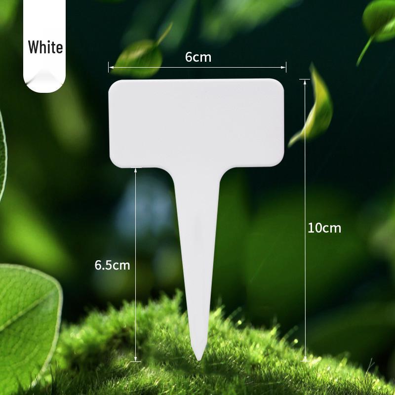 Colorful Writable Garden Plant Tags for Succulents and Flowers