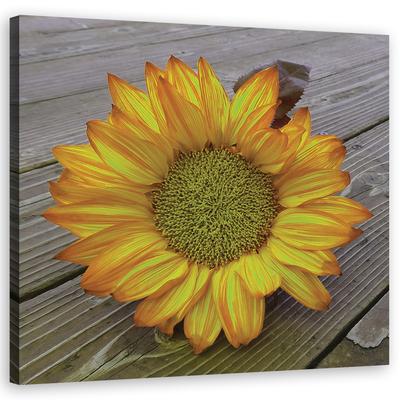 Canvas Print Yellow Sunflower