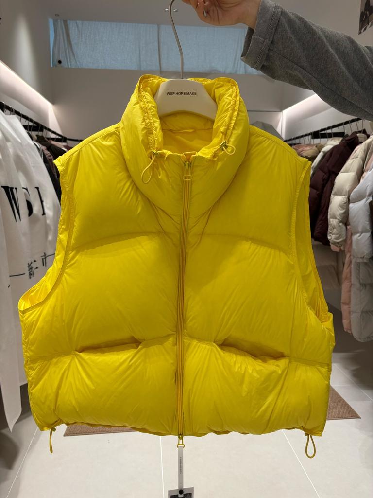 Winter New Down Vest Women's Short Thickened Warm White Duck Down Fashionable High-end Vest Tide
