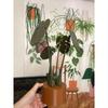 Monstera Coaster Plant Turtle Bamboo Coaster Plant with Magnet 3D Printing Cross-border Explosion