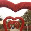 Plastic Lawn Artificial Plant Wall Panel UV Resistant Fake Lawn Carpet  Party Decor