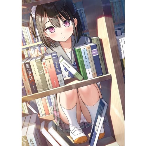 Shizuku Complex 5th Year After School Kantoku Original Illustration Collection
