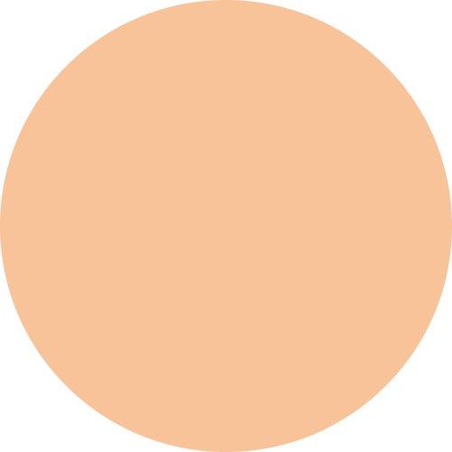 Exbeaute Air Lasting Powder (Refill) #Natural 11g