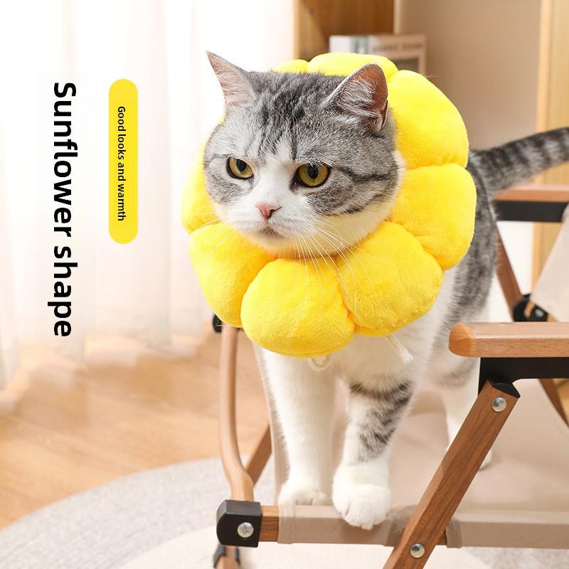 Collare Elisabettiano per Gatto Sunflower Yi, Collare Elisabettiano per Gatto, Collare per Cane, Copricapo Antileccamento per Sterilizzazione