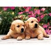 150-teiliges Puzzle – Golden Retriever, beliebtes koreanisches Puzzle