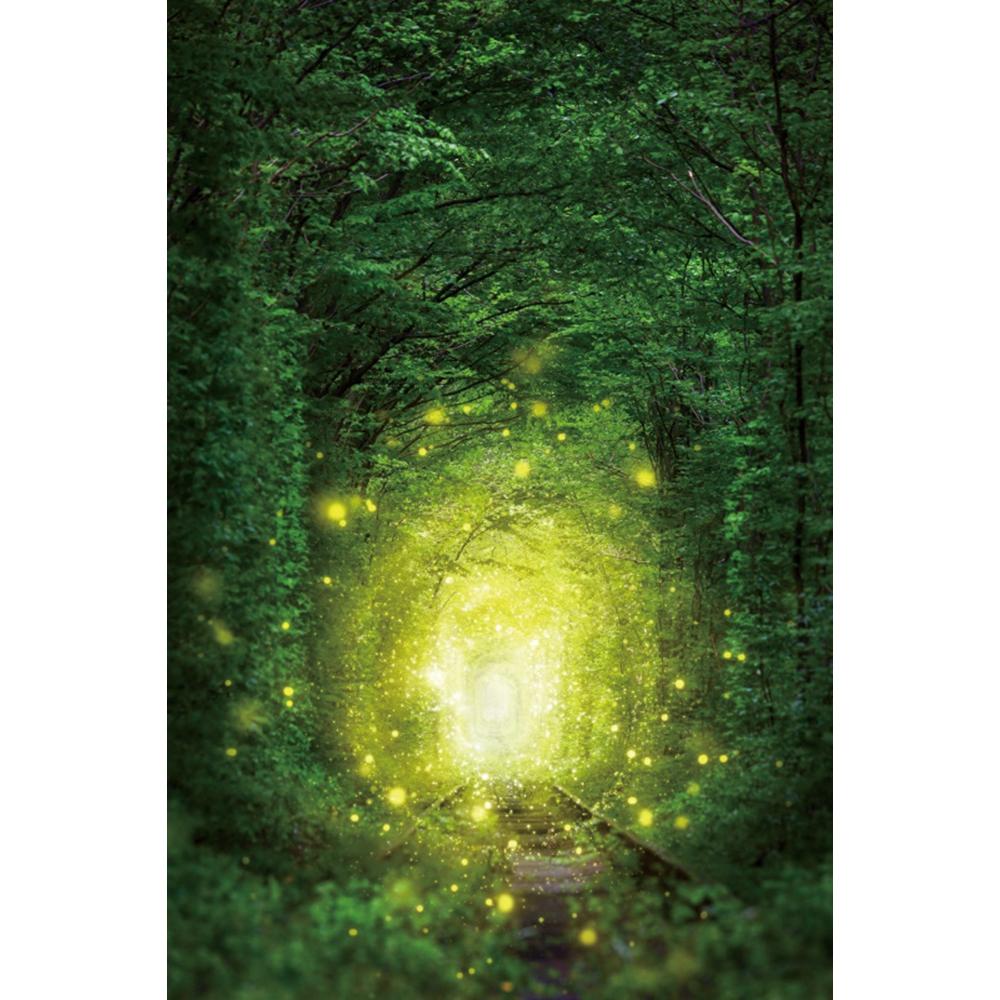 Spring Natural Scenery Forest Photography Backdrop Tropical Jungle Green Forest Tree Adventure Baby Portrait Photo Background