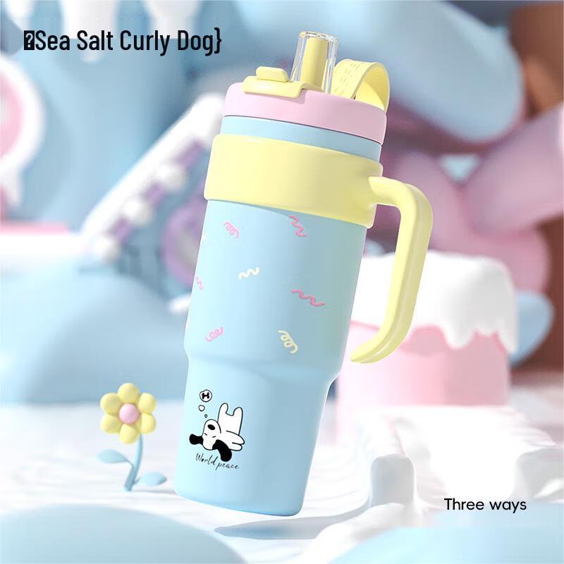 Nu Feng Jumbo Insulated Straw Water Bottle