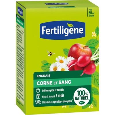 FERTILIGENE FCOSAN3 - Horn and Blood Fertilizer 3 Kg - Quick and Long-Lasting Action - Nourishes Up To 3 Months - Up To 60m² Fertilized
