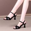 Temperament Open-toe One-word Sandals High Heels Sandals Thick Heel 2025 Summer New Fashion Versatile Elegant Women's Shoes