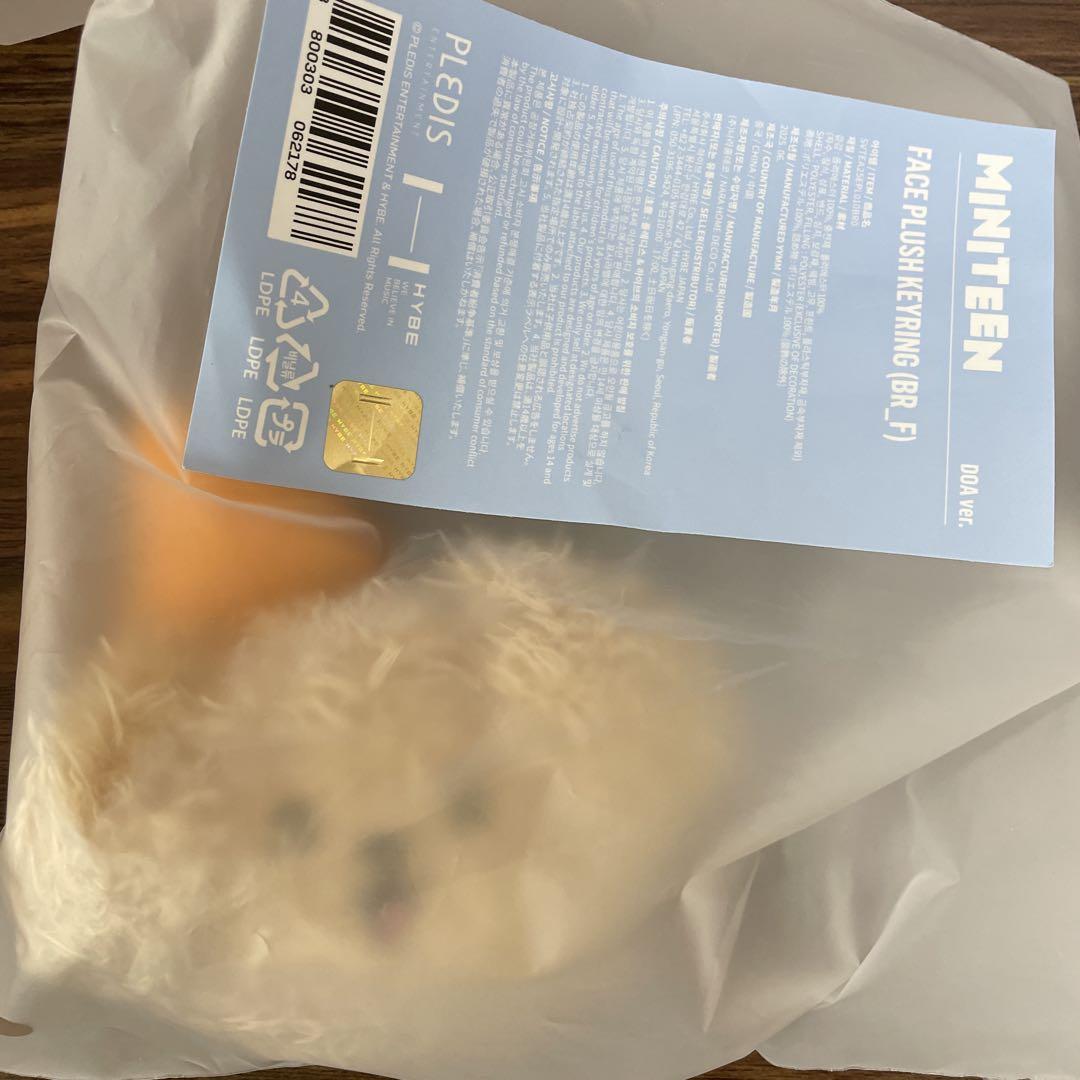 

[Б/У] MINITEEN Брелок для лица Догём Miniteen Door DK