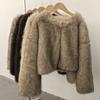 Popular High-end Environmentally Friendly Fur Imitation Fur Jacket Autumn and Winter Round Neck Simple Fur Jacket