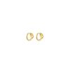 Toss Manifesto Hoop Earrings, 18K Gold Plated / Manifesto Hoop Earrings / Earrings / 1004094800