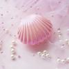 1pc Shell Shaped Treasure Box, Creative Wedding Gift Food Packaging Romantic Shell Box Square Treasure Chest Jewelry Bo