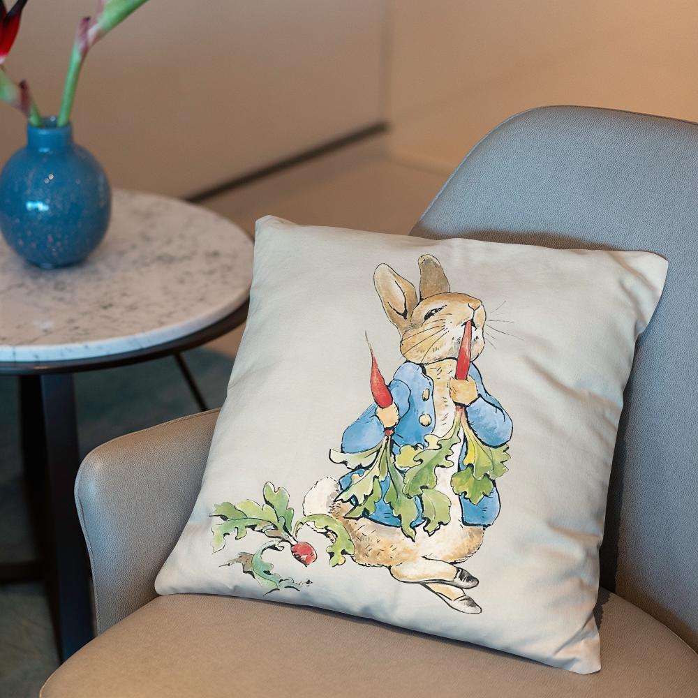 P-Peter Rabbit printing Cushion Cover 2-in-1 Reversible Plush Pillow Cover | Car/Sofa/Bed | Perfect Gift