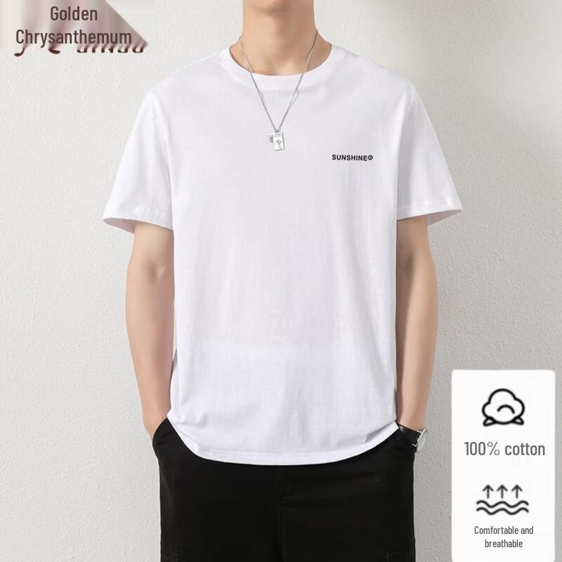 Men's Basic 100% Cotton Short Sleeve T-shirt