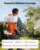 Backpack Fogger Sprayer, 63CC 3HP Engine, Gas Powered Fogger Sprayer with 16L Tank, Powder and Liquid Mister Duster System for Effective Fleas Ticks