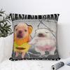 Funny Pibble Meme Wash My Belly Clean My Belly Meme Pillow Cover Cushion Cover Fashion Pillow Case For Wedding Party Home Decor