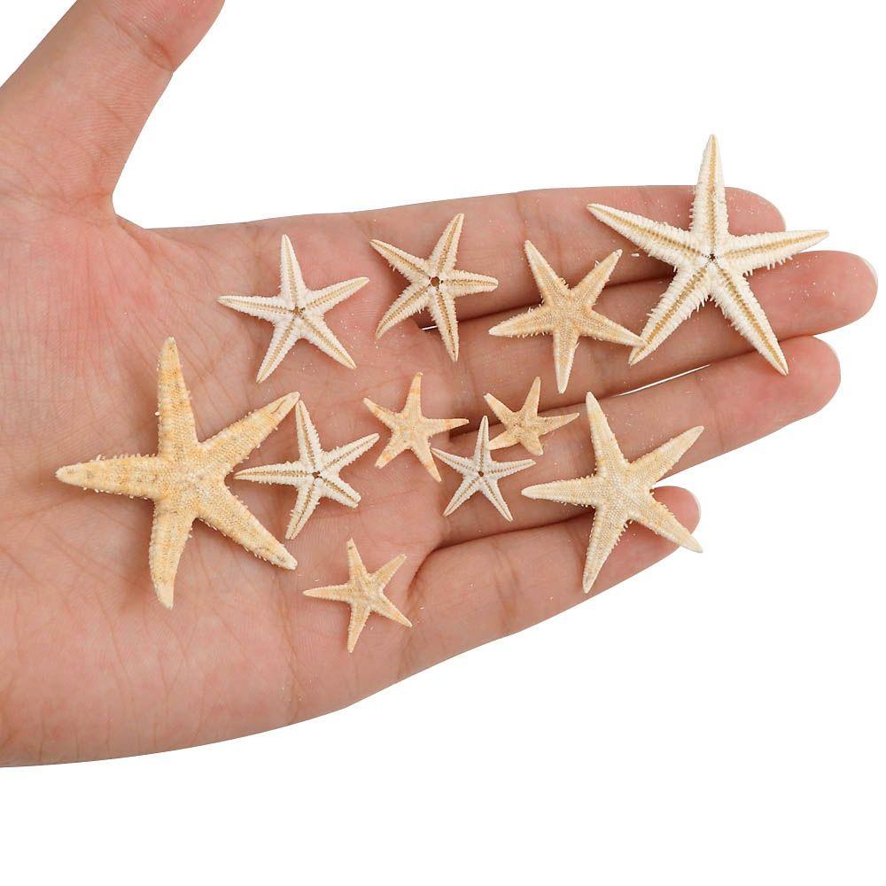 Cute Shell Conch Crafts Sea Shells Aquarium Supplies Starfish Resin Casting Fish Tank Decoration