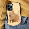 Guinea pig Funny Cartoon Soft Phone Case for iPhone 17 Air 16e Pro max 15 Pro 13 14 Plus 11 12 MagSafe Magnetic Coque