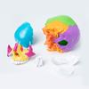 Modello Cranio 4D Anatomico Scientifico Staccabile Studio Esposizione Strumenti Didattici Medici