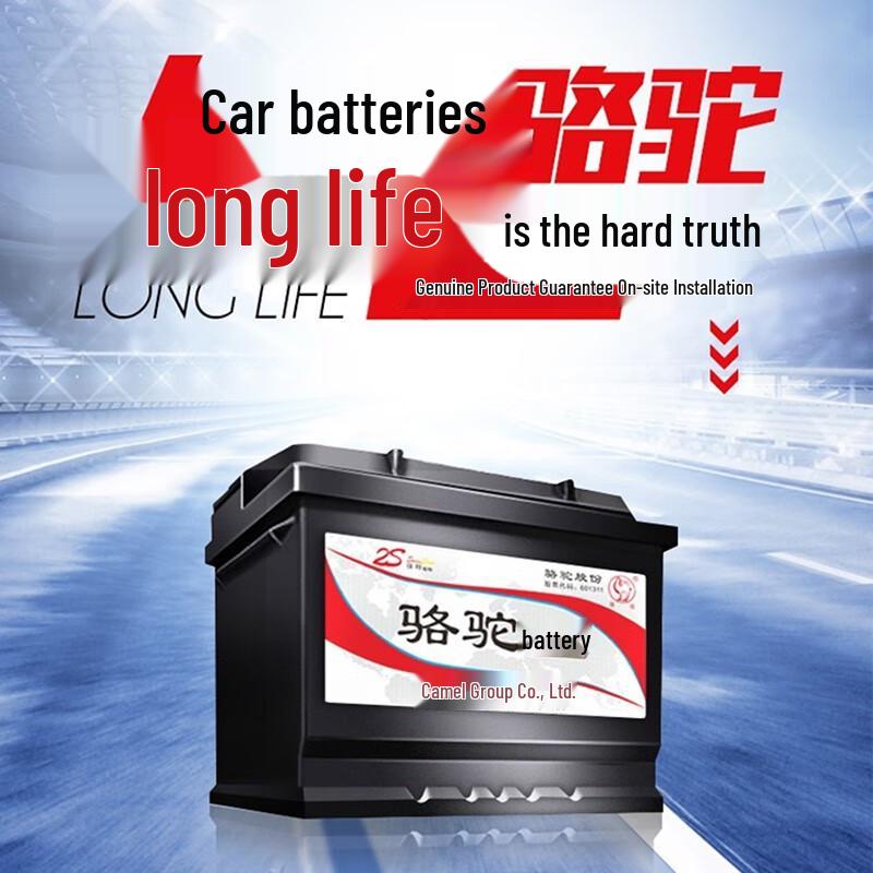 Camel 6-QW-180 Maintenance-Free Battery