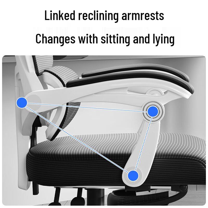 Shengbei Ergonomic Office Chair