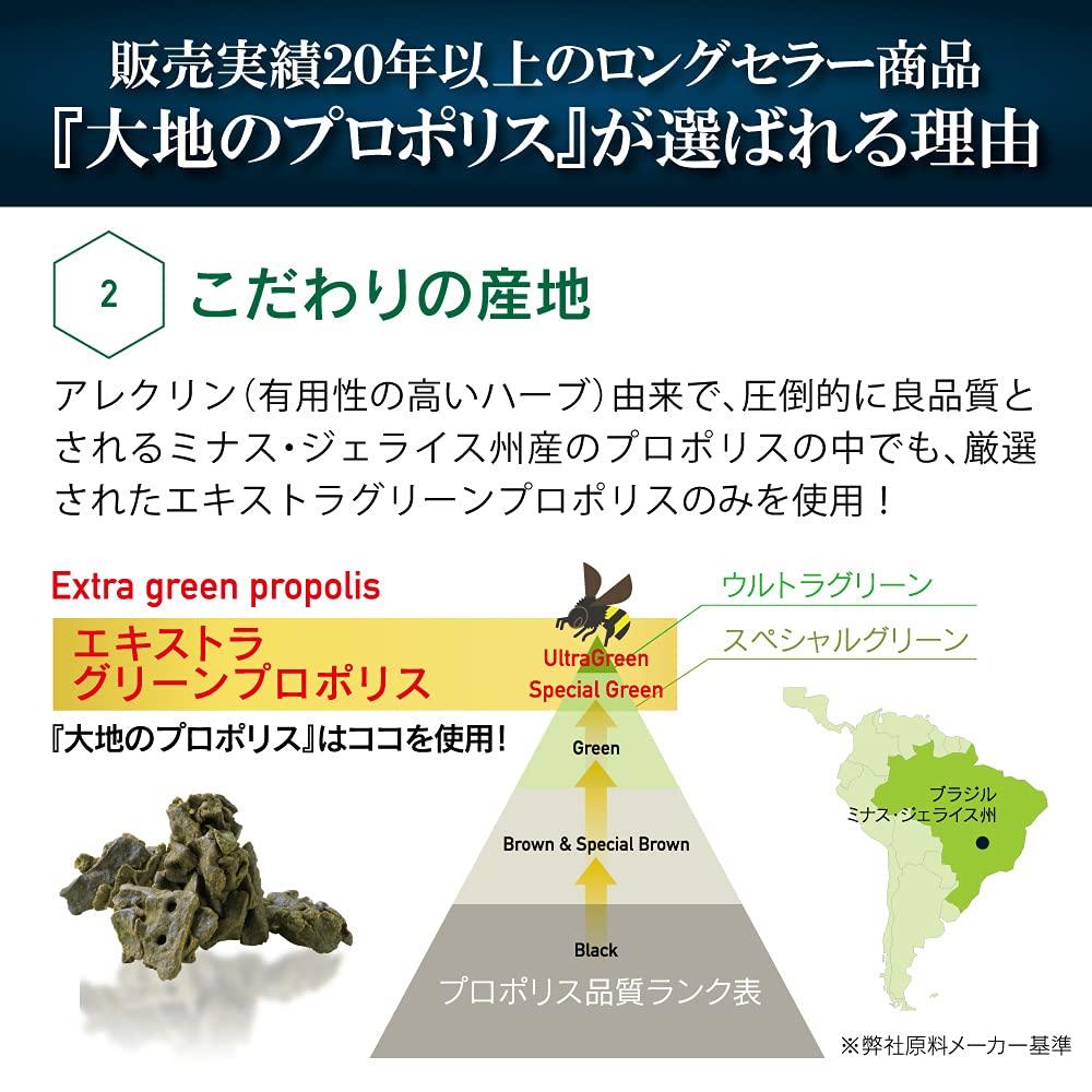 Kyushu Propolis Supplement by Yazuya: 62 Capsules/1 Month Supply - Natural Brown Pack