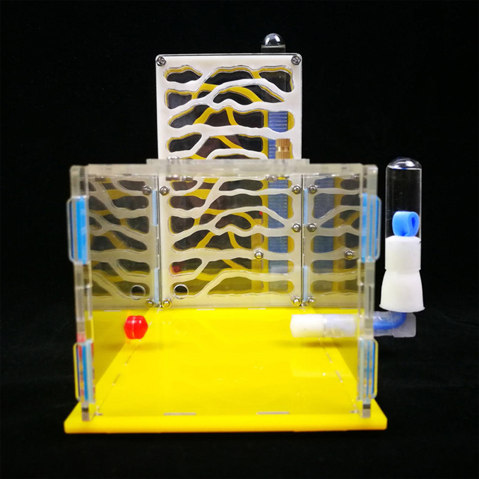 

DIY T Design Feeding Area Acrylic Farm Insect Villa Mania House Ant Nest Birthday Present Gift жёлтый