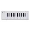 Arturia Arturia Arturia Keyboard Controller MicroLab MK3 25 Keyboard/Velocity Compatible High Def...