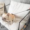 Professionelle Hundeausbildung & Agility-Ausrüstung