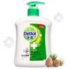 Dettol Moisturizing Care Antibacterial Hand Wash
