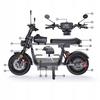 City Shopping 1500W Elektrofahrzeug DX5 für Erwachsene – 55 km/h, 72 km Reichweite, 15" Räder, 48V 15,6Ah Akku, NFC