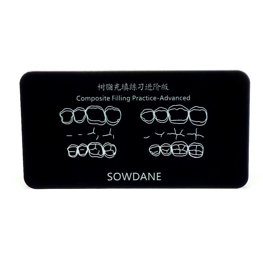 

Стоматологическая учебная модель Шаблон для пломбирования композитной смолой Морфологическая доска Модель для изучения и практики 1 piece Advanced