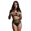 Le Desir - Two-piece Set with a Top and High-waisted Briefs SL