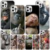 Monkey Memes Phnoe Case for Iphone 17 Air 16 16E 11 12 13 Mini 14 Plus 15 Pro Max 7 8 + SE 2020 Phone Cover Coque