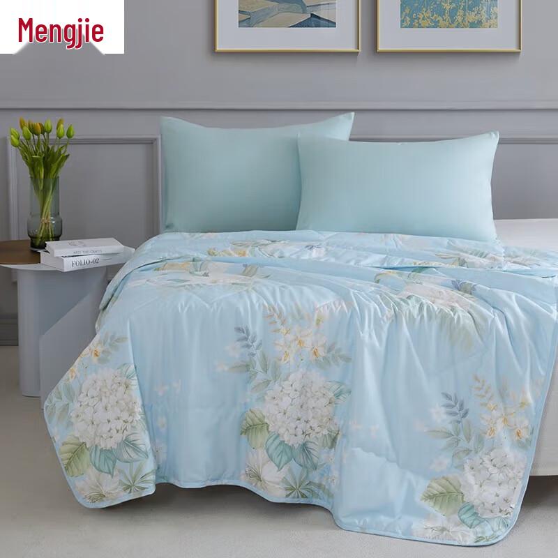

Mengjie Artemisia Antibacterial All-Season Quilt