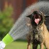 Silicone Pet Shower Head Outdoor Showerhead Cat Dog Cleaning and Bathing Tools Portable Showerhead Outdoor Cleaning Pet Supplies
